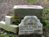 image of grave number 251022